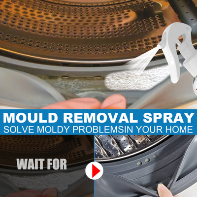Anti-mildew Activity Foam Mildew Spot Wall Tile Cleaner